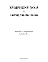 Symphony No. 5 in c minor Orchestra sheet music cover